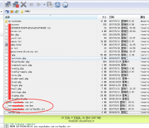 美國虛擬主機配置安裝SSL教程詳解